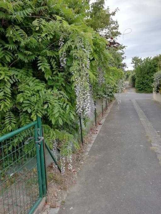 Maison Familiale Sur La Cote D'Emeraude لونسيو المظهر الخارجي الصورة
